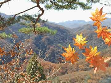 落实节水工作方案情况，节水工作实施方案 