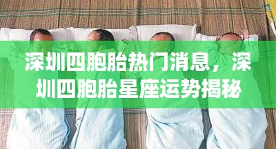 深圳四胞胎，星座运势揭秘与热门事件探究