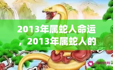 2013年属蛇人的命运展望，风云变幻，运势起伏