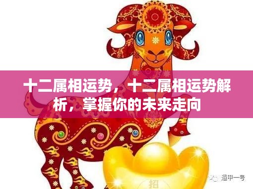 掌握未来运势，十二属相运势深度解析