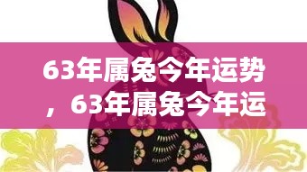 揭秘63年属兔人的今年运势