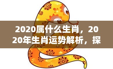 揭秘2020年属相奥秘与生肖运势解析