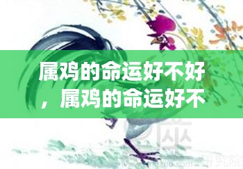 属鸡人的命运解析，星象指引下的好运与挑战