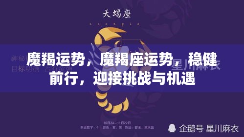 魔羯运势，魔羯座运势，稳健前行，迎接挑战与机遇