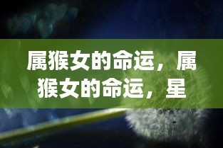 星象指引下的属猴女命运篇章