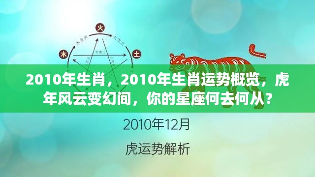 2010年虎年生肖运势概览，星座风云变幻指南