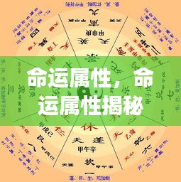 命运属性揭秘，掌握星座走向，洞悉未来运势转折之道