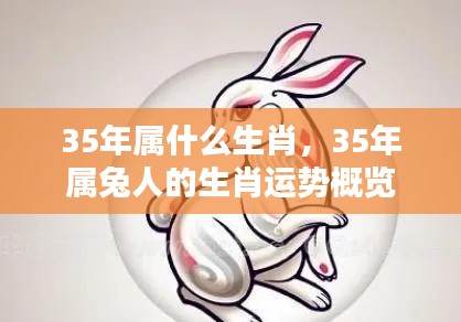 生肖运势解析，属兔人在35岁的生肖运势概览