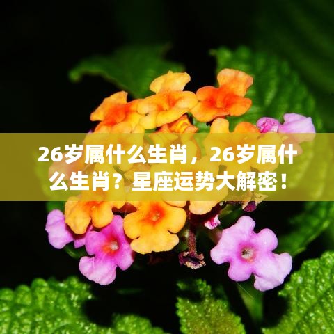 揭秘26岁生肖运势与星座运势大解密