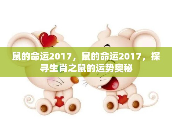 探寻生肖鼠在2017年的运势奥秘，命运展望与运势探寻