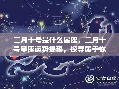 二月十号的星座运势揭秘与探寻属于你的星座奥秘