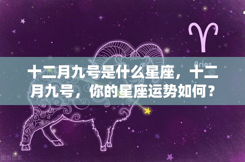 十二月九号的星座运势解析