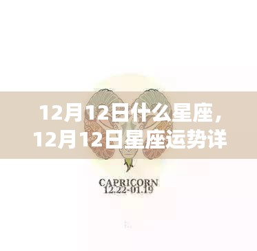 揭秘星座运势，12月12日星座运势详解与秘密探索