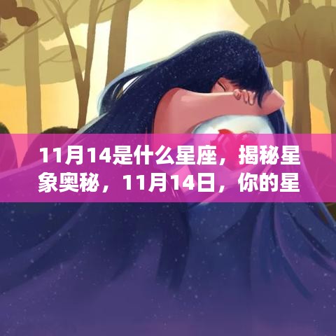 揭秘星象奥秘，11月14日的星座运势与星座解析