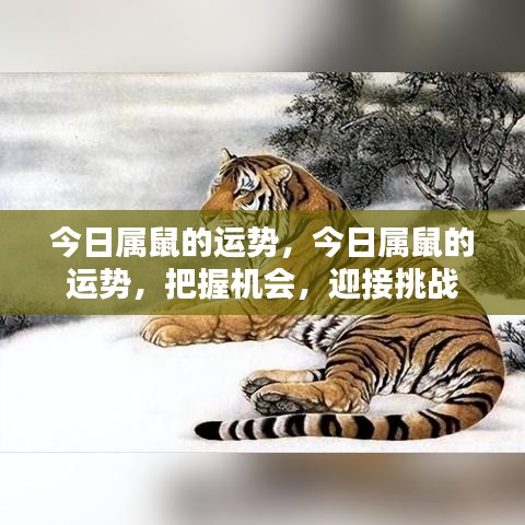 今日属鼠运势展望，把握机遇，迎接挑战