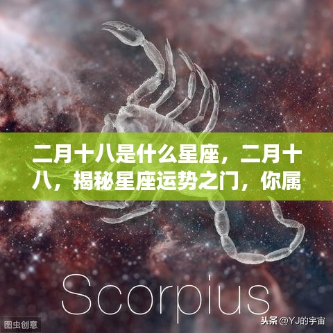 二月十八星座揭秘，运势之门开启，探寻你的星座归属