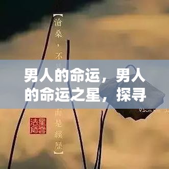 探寻命运轨迹，男人的机遇与挑战之星