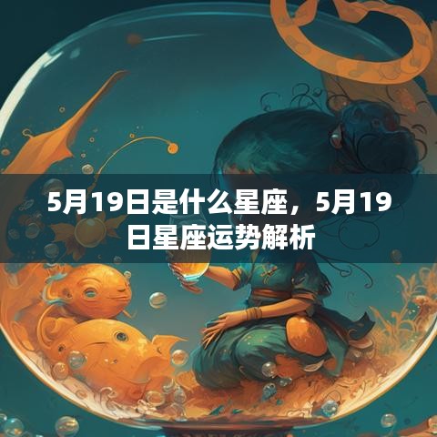 5月19日星座运势揭秘，探寻星座运势背后的秘密