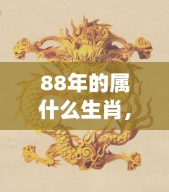 1988年属龙人的运势与生肖运势详解，天降瑞气，龙腾盛世