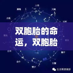 双胞胎命运揭秘，星座运势与双生花的奇幻之旅