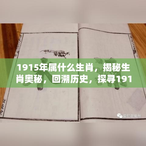 揭秘生肖奥秘，探寻1915年属相之谜，揭秘属相历史回溯