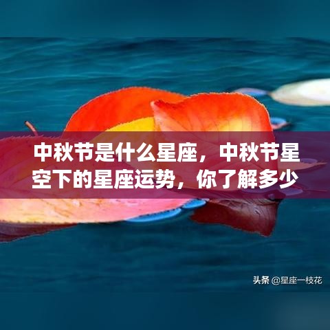 中秋节星座运势解析，星空下的星座运势详解