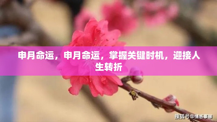 掌握申月命运关键时机，迎接人生转折点