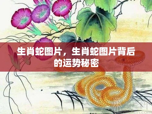 生肖蛇图片及其背后的运势奥秘