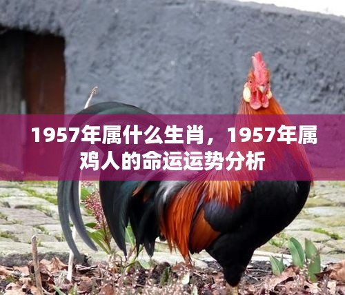 1957年属鸡人的命运运势详解及生肖属性解析