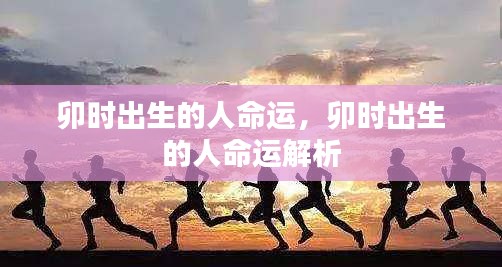 卯时出生的人命运详解与解析