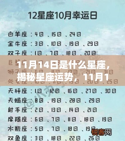 揭秘星座运势，11月14日星座运势详解及你的星座运势如何？