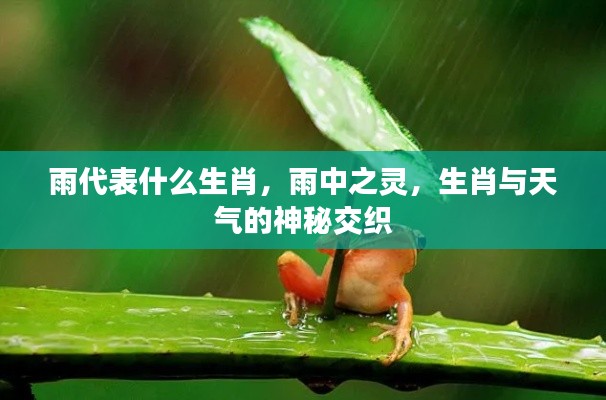 雨中之灵，生肖与天气的神秘联系