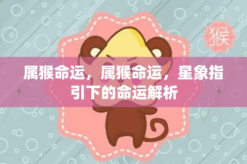 属猴命运深度解析，星象指引下的命运轨迹