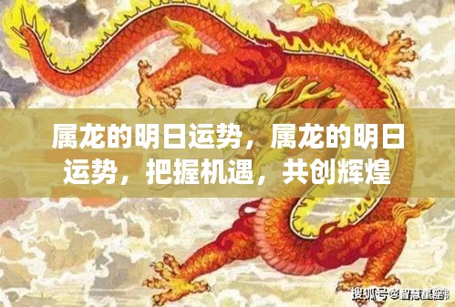 明日运势展望，属龙者的机遇与挑战，共创辉煌之路