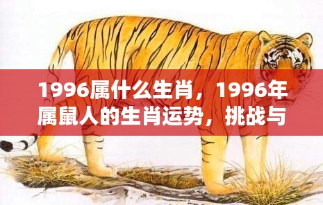 1996年属鼠人的挑战与机遇并存，生肖运势解析