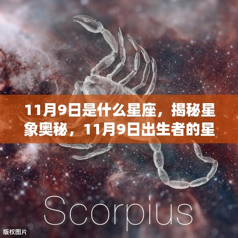 揭秘星象奥秘，11月9日出生者的星座运势解析及星座特点探索