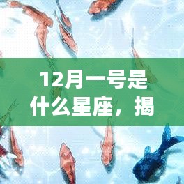 专题 第123页