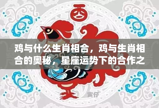 鸡与生肖相合的奥秘，星座运势下的合作之道探索