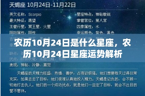 农历10月24日星座运势解析及星座特点揭秘