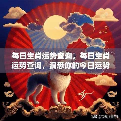 每日生肖运势查询，洞悉今日运势，掌握未来走向