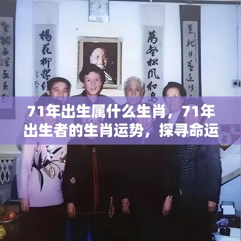 71年属相揭秘，生肖运势与命运之星背后的秘密探索