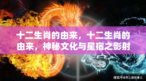 揭秘十二生肖的神秘起源，星宿之影射与文化传承的力量