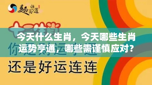 今日生肖运势解析，哪些生肖运势亨通，哪些需谨慎应对？