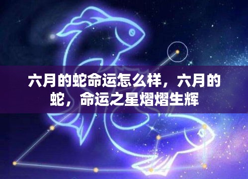 六月的蛇，命运之星熠熠生辉的奥秘解析