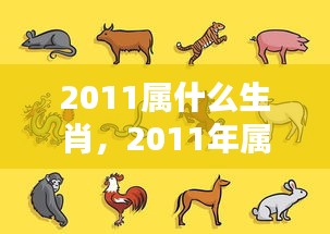 2011年属兔人的运势解析与生肖运势展望