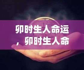 卯时出生者的命运解析，晨光之星预示璀璨人生