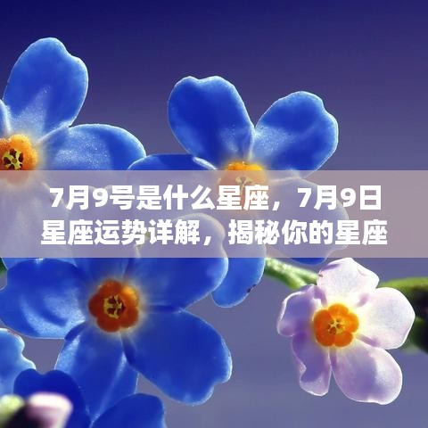 7月9日星座运势揭秘，性格特质与未来走向探索