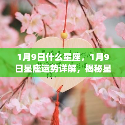 揭秘1月9日星座性格特质与运势走向，星座运势详解及未来展望