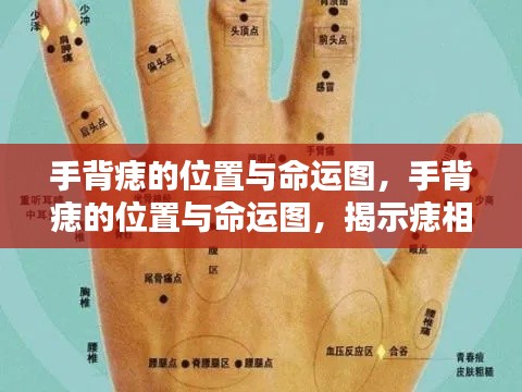 手背痣的位置与命运图，痣相背后的奥秘揭秘