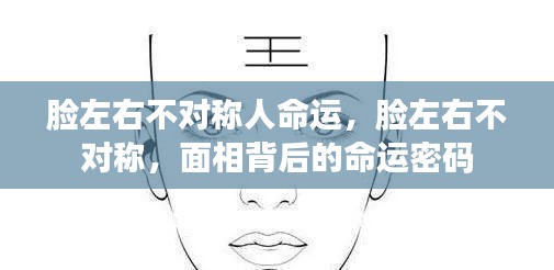 面相揭秘，脸左右不对称背后的命运密码与人生轨迹